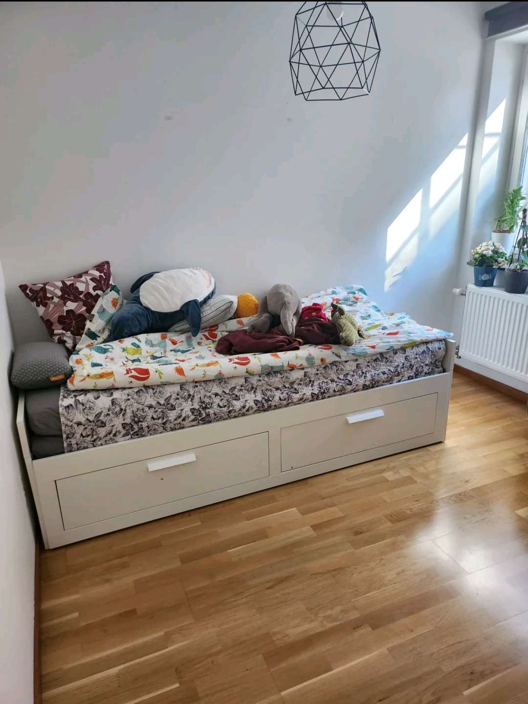 Karl XII gatan, Lund