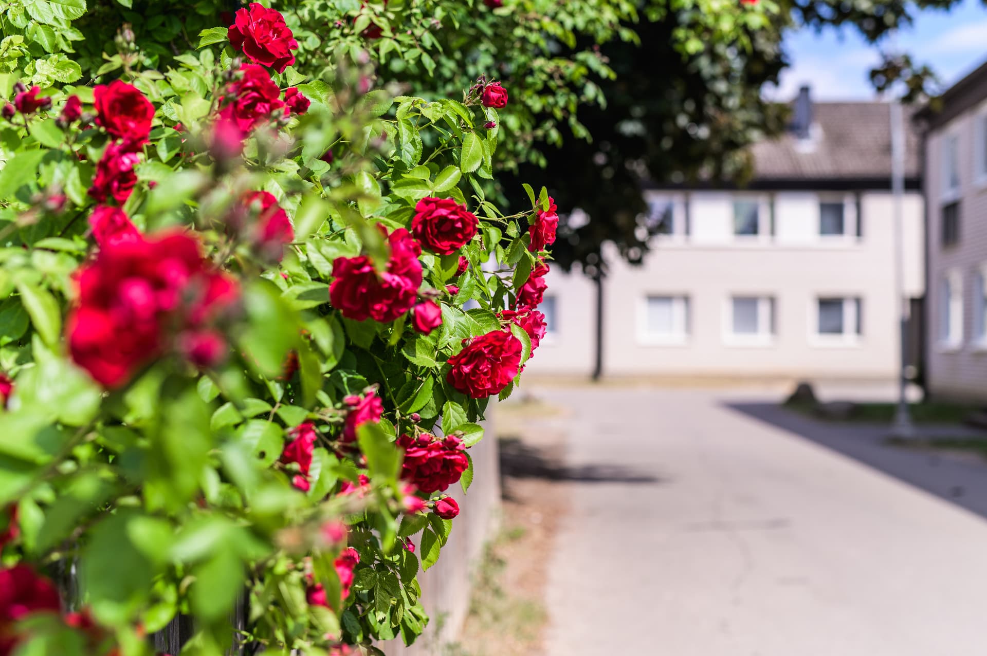 Fogdegatan 40, Linköping